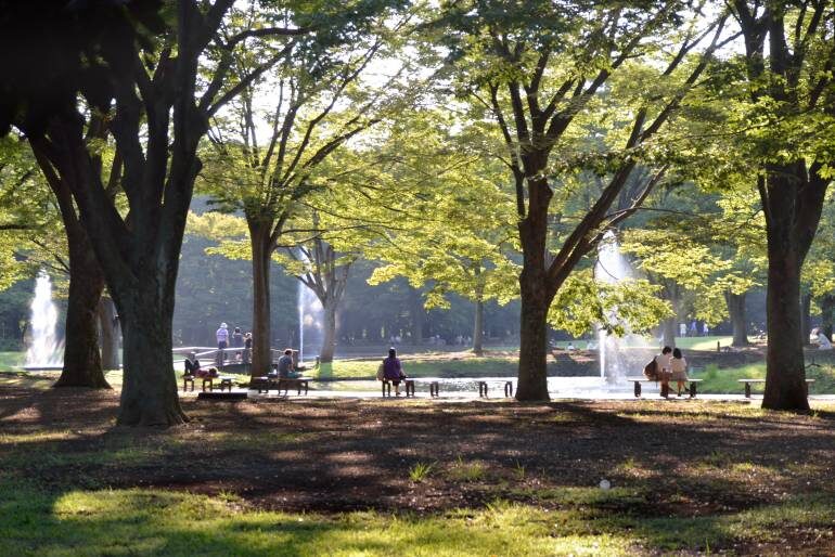 Yoyogi Park